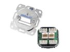 TELEGÄRTNER Dose AMJ45 ohne Zentralplatte, 2x RJ-45 Kat.5e (Class D)
