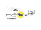 ROLINE adapterkabel Mini DisplayPort / DisplayPort / Type C - HDMI, Actief, 0,15 m