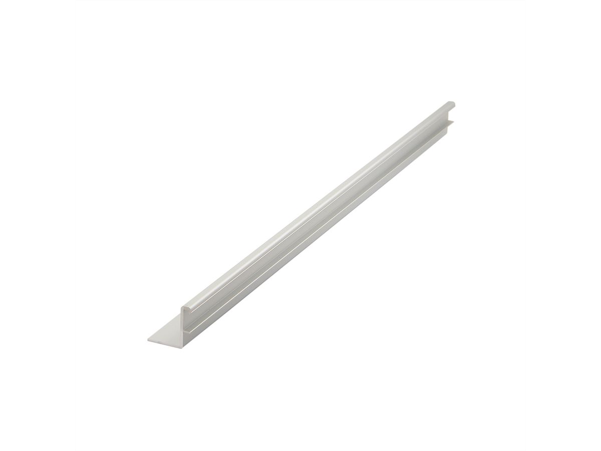 SCHROFF Comptec Geleiderail voor 19" Kast, 600 mm