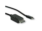 ROLINE Type C - DisplayPort Cable, M/M, 2 m