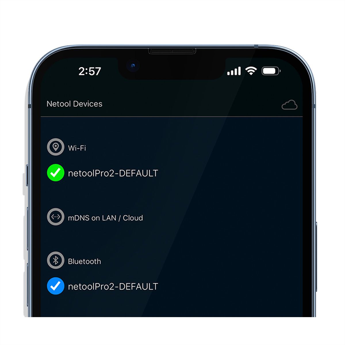 NetPeppers netool.io Pro2, Smarter Netzwerktester