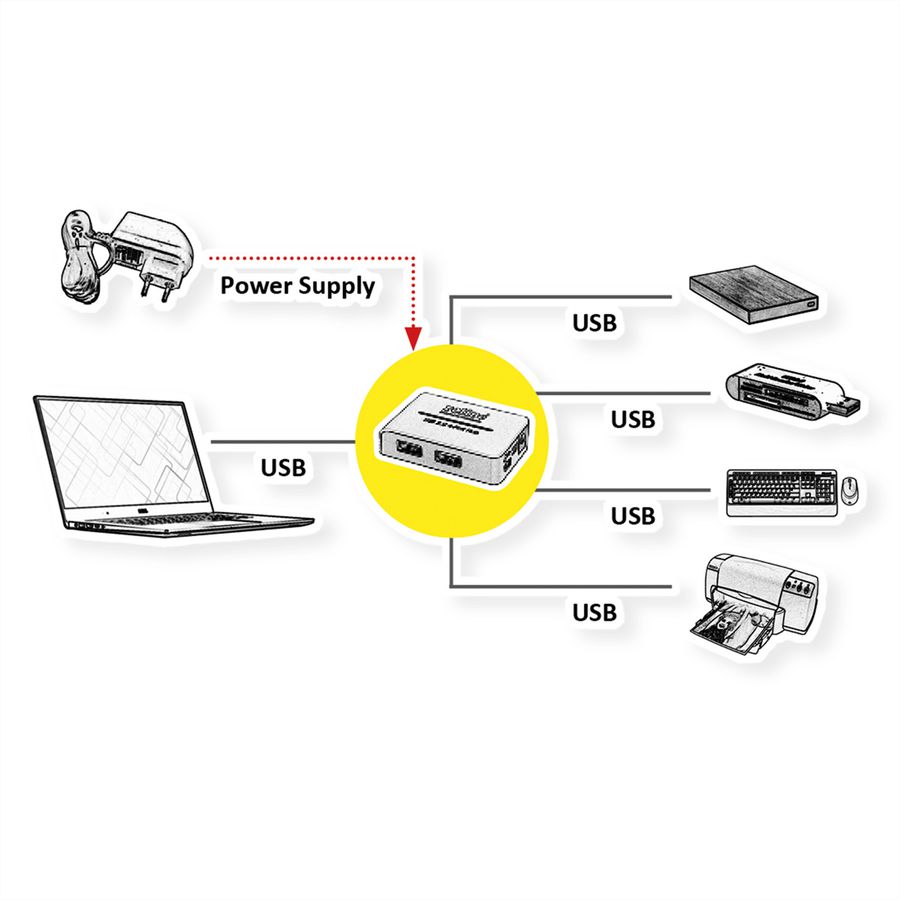 ROLINE USB 2.0 Hub, "Black and White", 4 poorts, met voeding