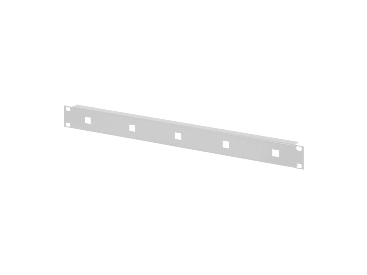 SCHROFF 19" Front Panel for Cable Eyes, 1.5 mm, St, RAL 7035