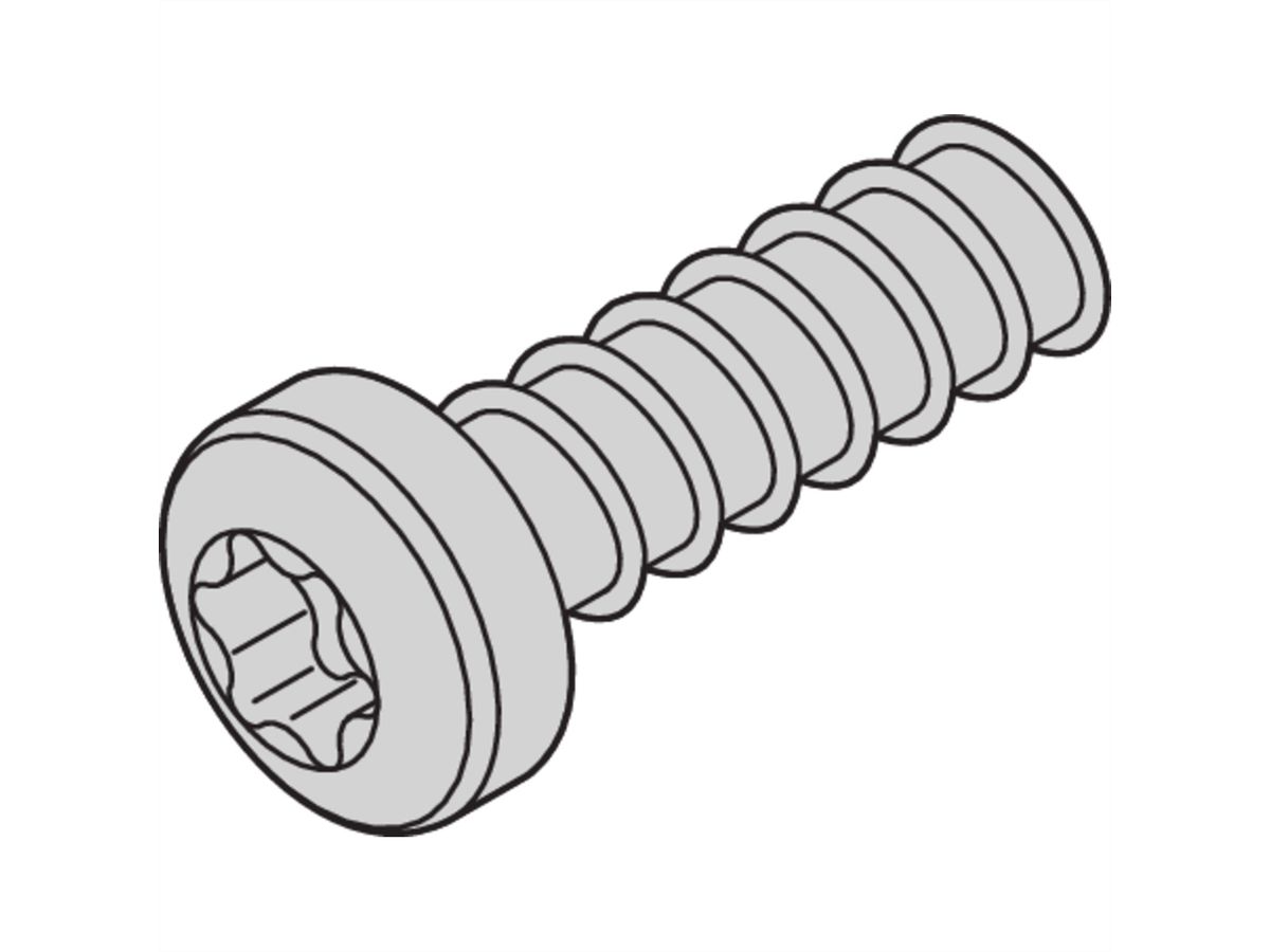 SCHROFF cilinderkopschroef, Torx, Ø 2,5 mm, lengte 9,3 mm, schroefdraadvormend, staal verzinkt