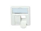 TELEGÄRTNER Faceplate for Telecommunications Outlets, alpine white