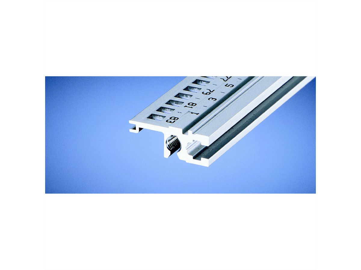 SCHROFF Horizontale rail, achteraan, Type L-ST, Licht, Standaard, 20 PK