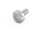 SCHROFF Panheadschroef, Torx, GND-functie, staal verzinkt, M4 × 10 mm, 100 stuks