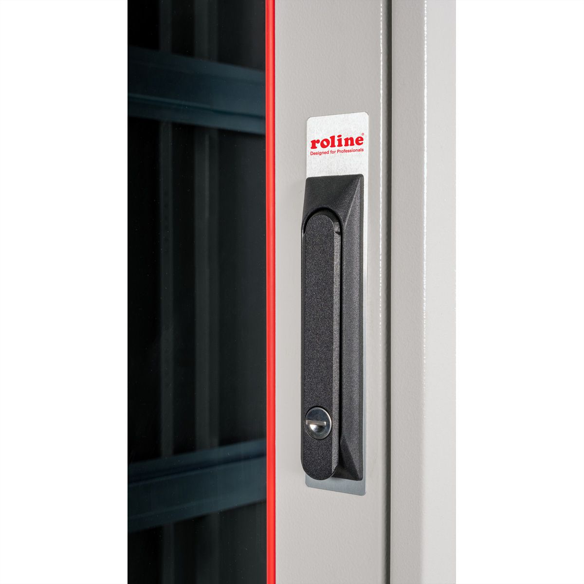 ROLINE 19-inch Network Cabinet Pro 42 U, 800x1200 WxD glass door grey