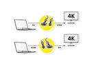 ROLINE GOLD Monitorkabel DVI - HDMI, M-M, (24+1) dual link, Retail Blister, 3 m