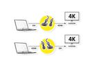 ROLINE GOLD Monitorkabel DVI - HDMI, M-M, (24+1) dual link, Retail Blister, 2 m