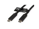 ROLINE USB4 Gen3x2 Kabel, C-C, M/M, zwart, 2 m
