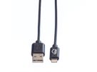 VALUE Lightning to USB Cable for iPhone, iPod, iPad, 0.15 m