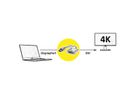 ROLINE GOLD 4K DisplayPort-DVI Adapter, DP M - DVI F, Retail Blister
