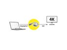 ROLINE GOLD 4K DP/DVI Adapter, Actief, v1.2, DP Male - DVI Female, Retail Blister