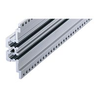 SCHROFF Horizontal Rail, Rear, Center, Type MZ, With Z-Rail, 63 HP