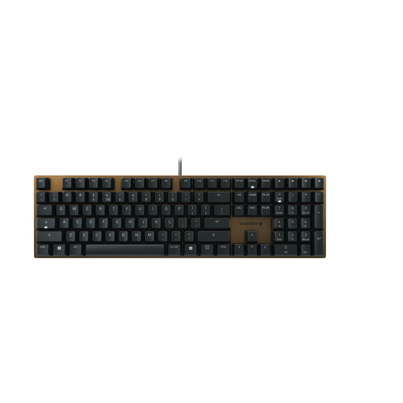 CHERRY KC 200 MX toetsenbord USB QWERTY Engels Zwart, Brons