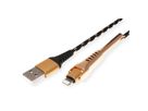 ROLINE GOLD Lightning naar USB 2.0 kabel voor iPhone, iPod, 1 m