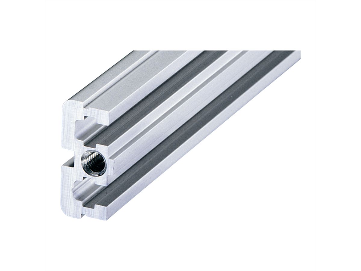 SCHROFF Horizontal Rail, Rear, Center, Type ST, Standard, 20 HP