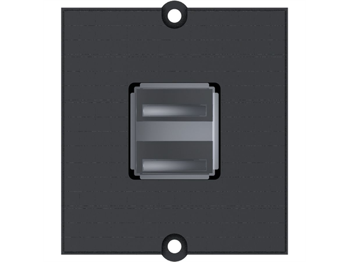 BACHMANN frame 2xUSB A screw terminal