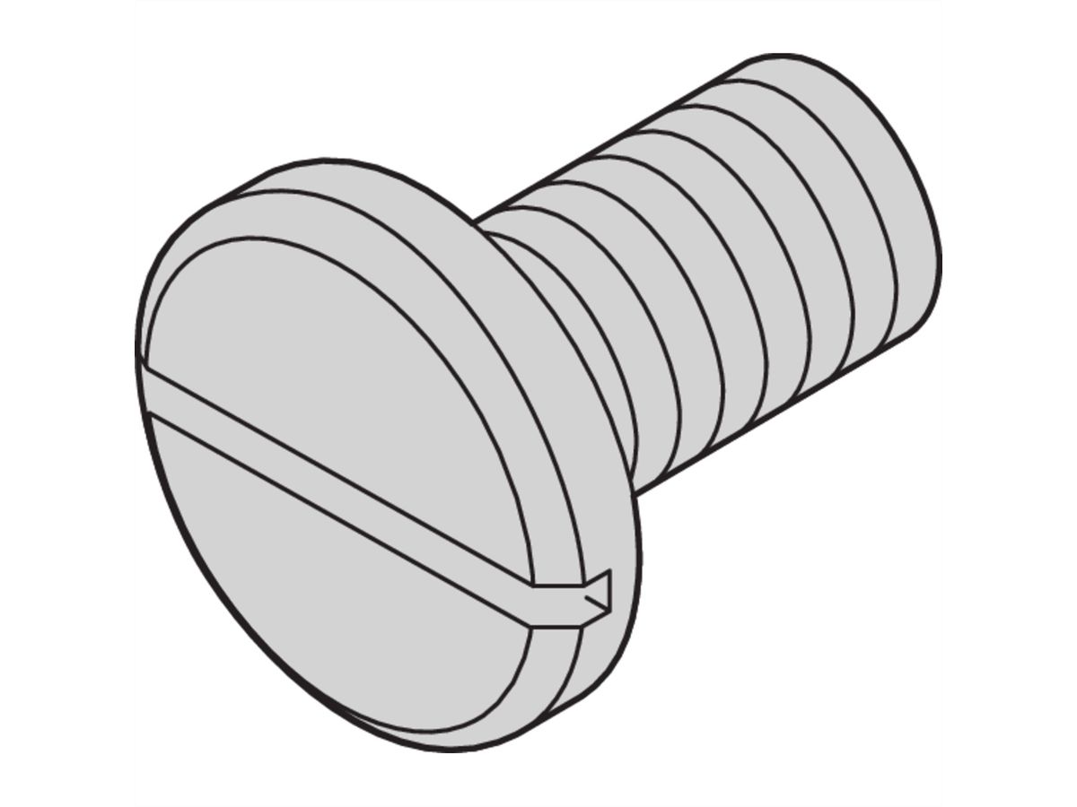 SCHROFF Screw for Drive Unit M3x6