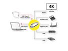 ROLINE USB 3.2 Gen 2 Typ C Multiport Docking Station, 4K HDMI, 2x USB 3.2 Gen 1, 1x SD/Micro SD Card Reader, 1x USB Type C PD (Power Delivery), 1x Gigabit Ethernet