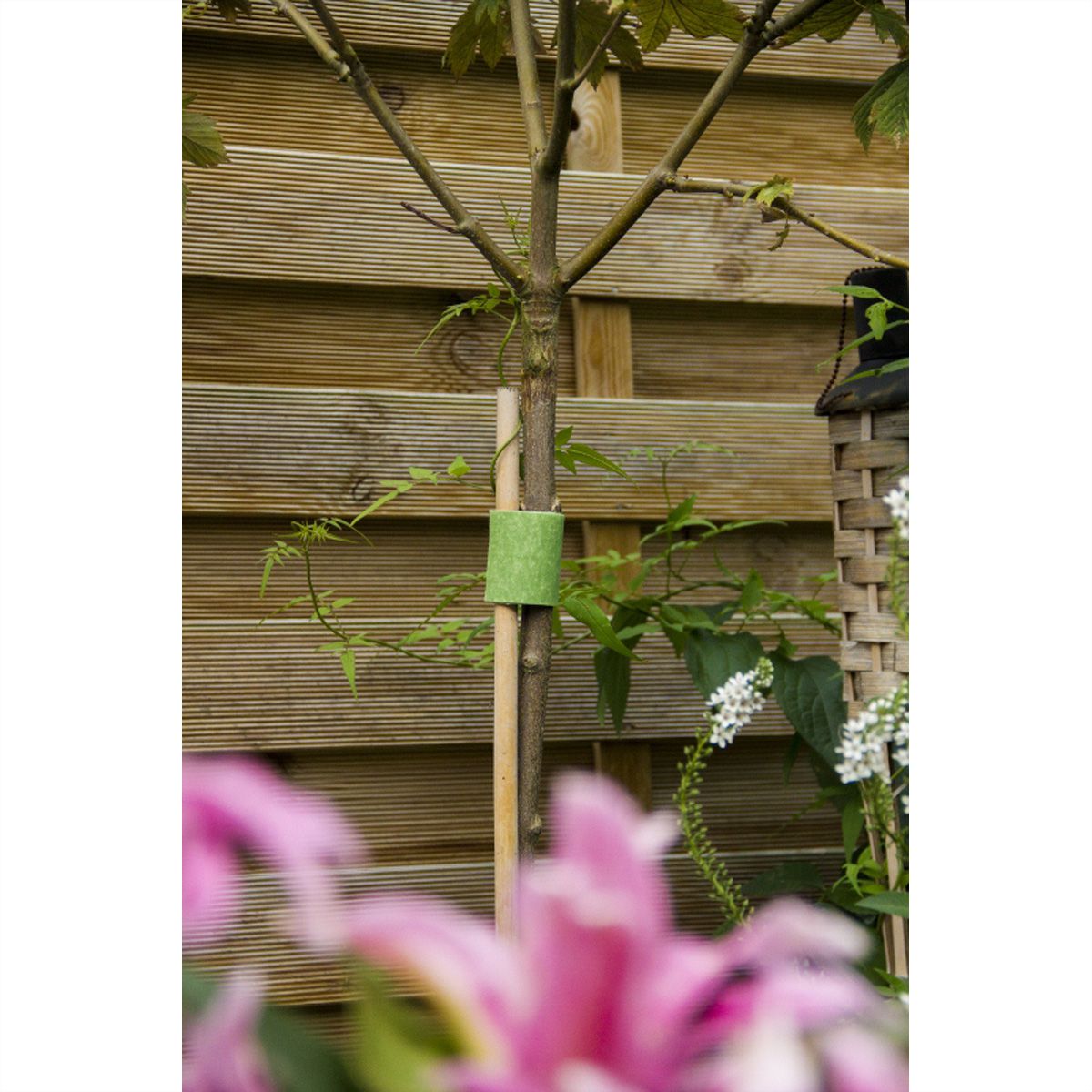 VELCRO® ONE-WRAP® klittenband Bomen Binder ONE-WRAP® tape 50mm x 5m Groen