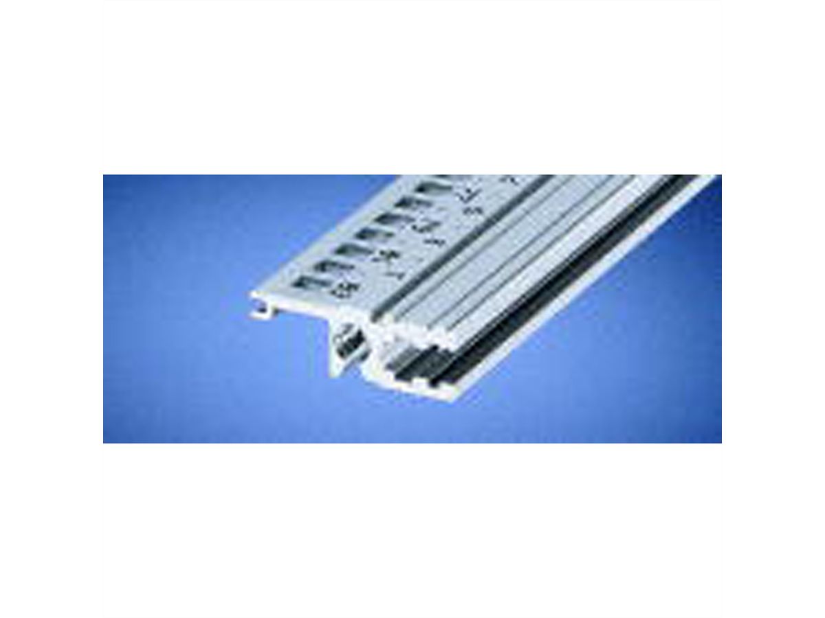 SCHROFF Horizontale rail, achteraan, Type L-VT, licht, 1000 mm