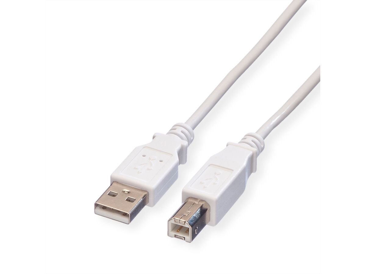 VALUE USB 2.0 Cable, A - B, M/M, white, 3 m