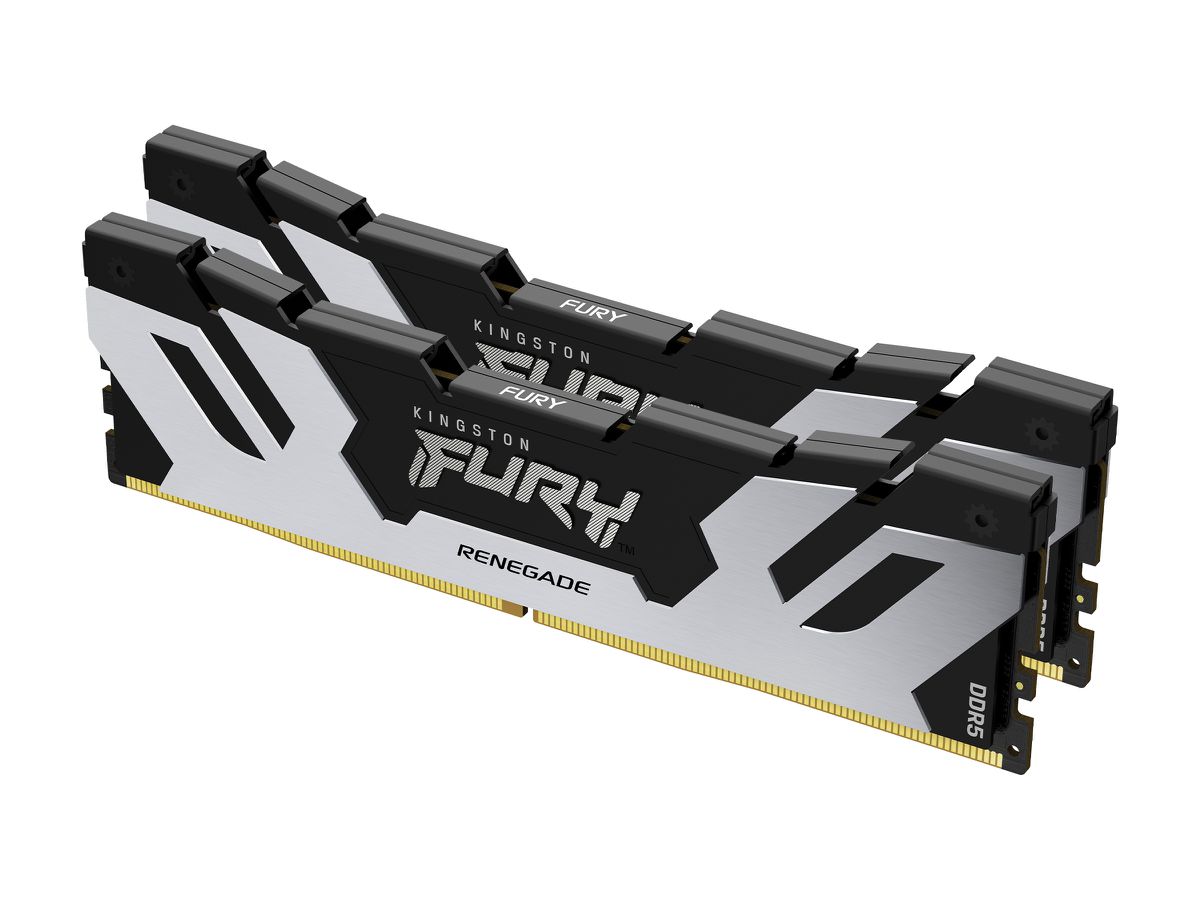 Kingston Technology FURY 32GB 6400MT/s DDR5 CL32 DIMM (set van 2) Renegade Zilver