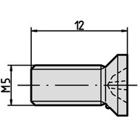 SCHROFF screws for module and profile rail fastening - NTS SENKSCHR.M5X12 10pcs