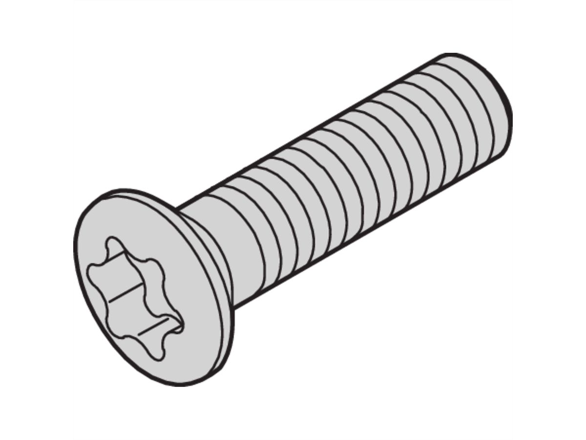 SCHROFF Kruiskopschroef, Torx, zelfvormend, staal verzinkt, M2,5 x 10