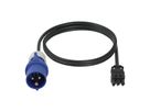 SCHROFF Wieland® Connecting Cables for Socket Strip, GST18, 5 m, IEC 60309