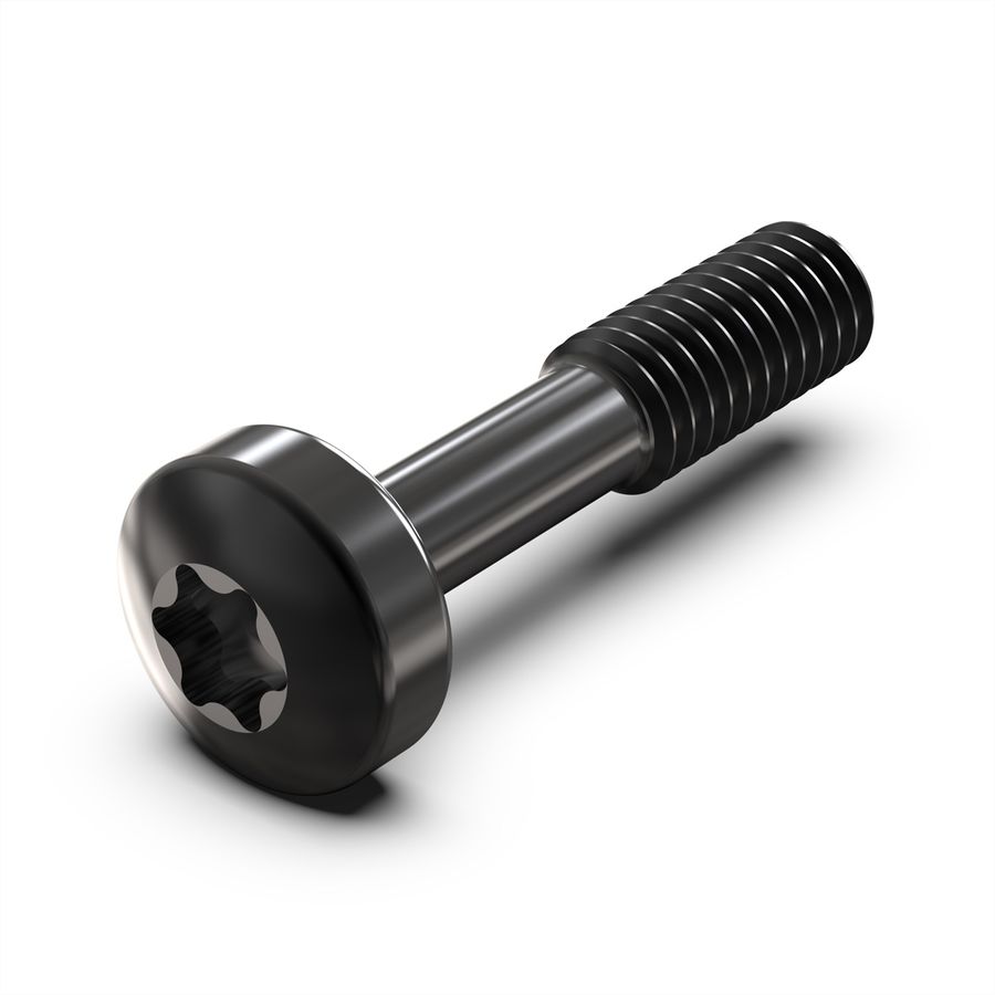 SCHROFF Kraagschroef, Torx M2,5 x 12,3 mm, staal zwart, 100 stuks