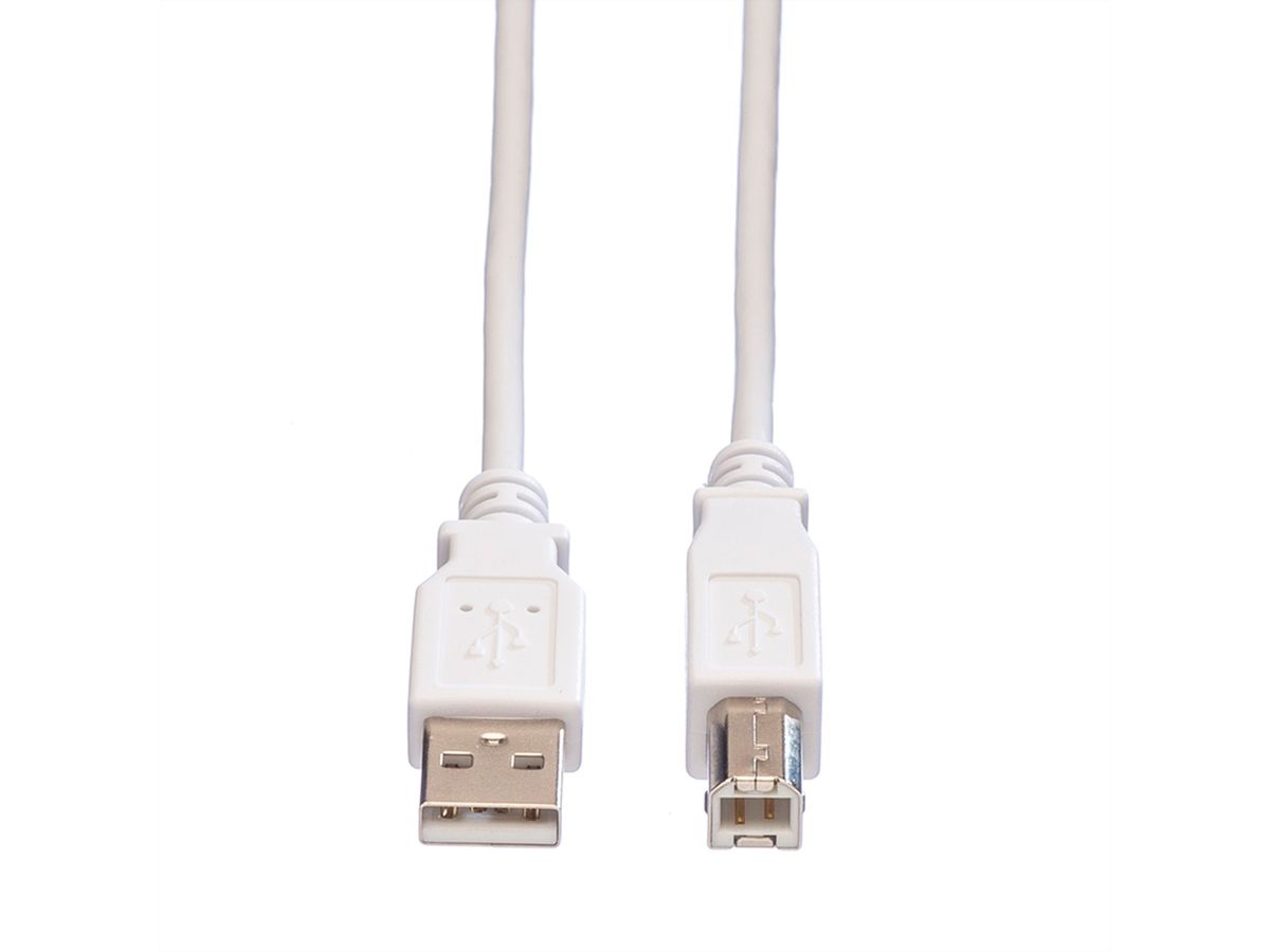 VALUE USB 2.0 Cable, A - B, M/M, white, 3 m