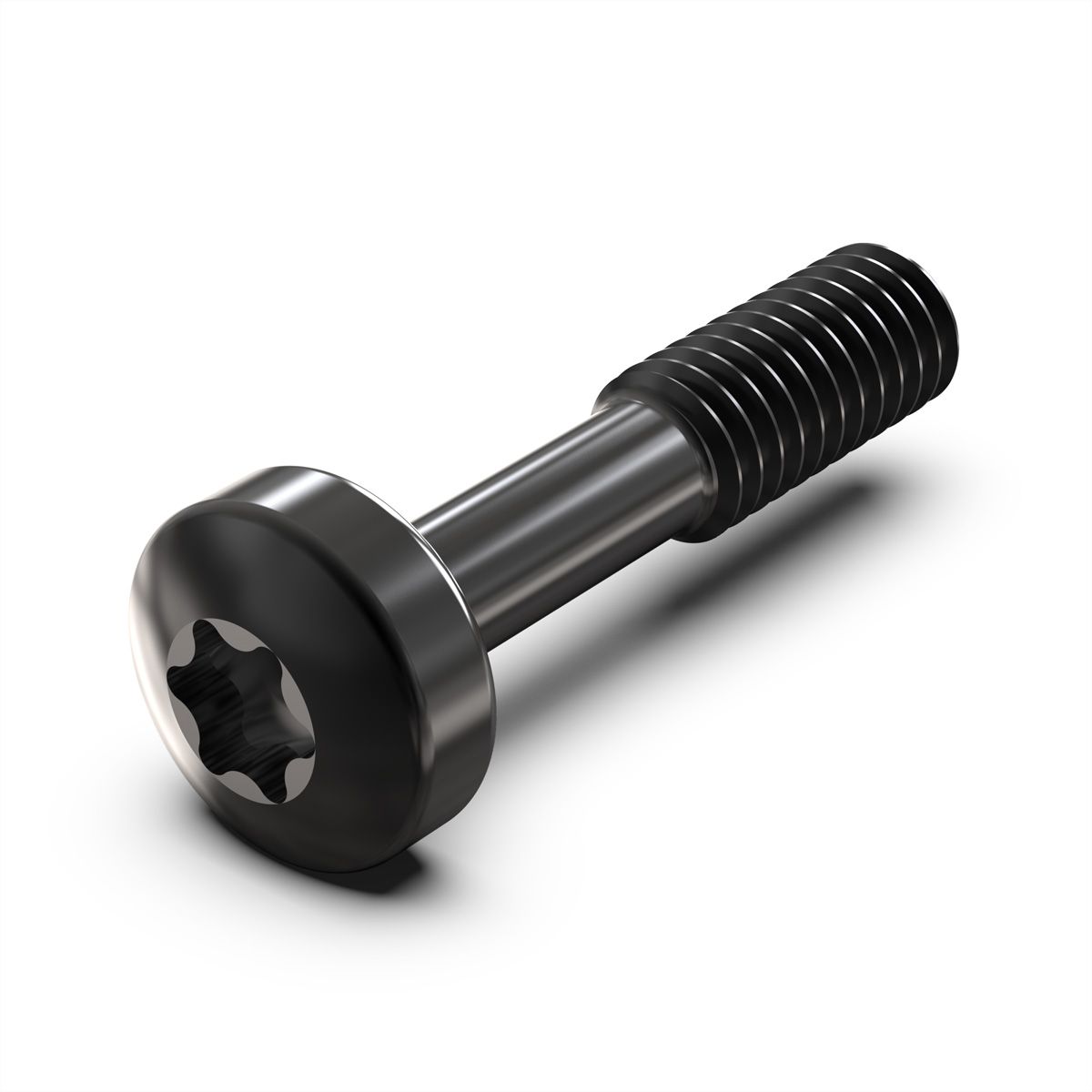 SCHROFF Kraagschroef, Torx M2,5 x 12,3 mm, staal zwart, 100 stuks