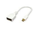 ROLINE DisplayPort Adapter, DP Female - Mini DP Male