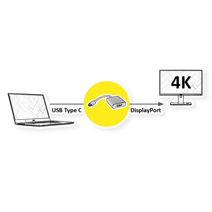 ROLINE Display Adapter USB Type C - DisplayPort v1.2, M/F