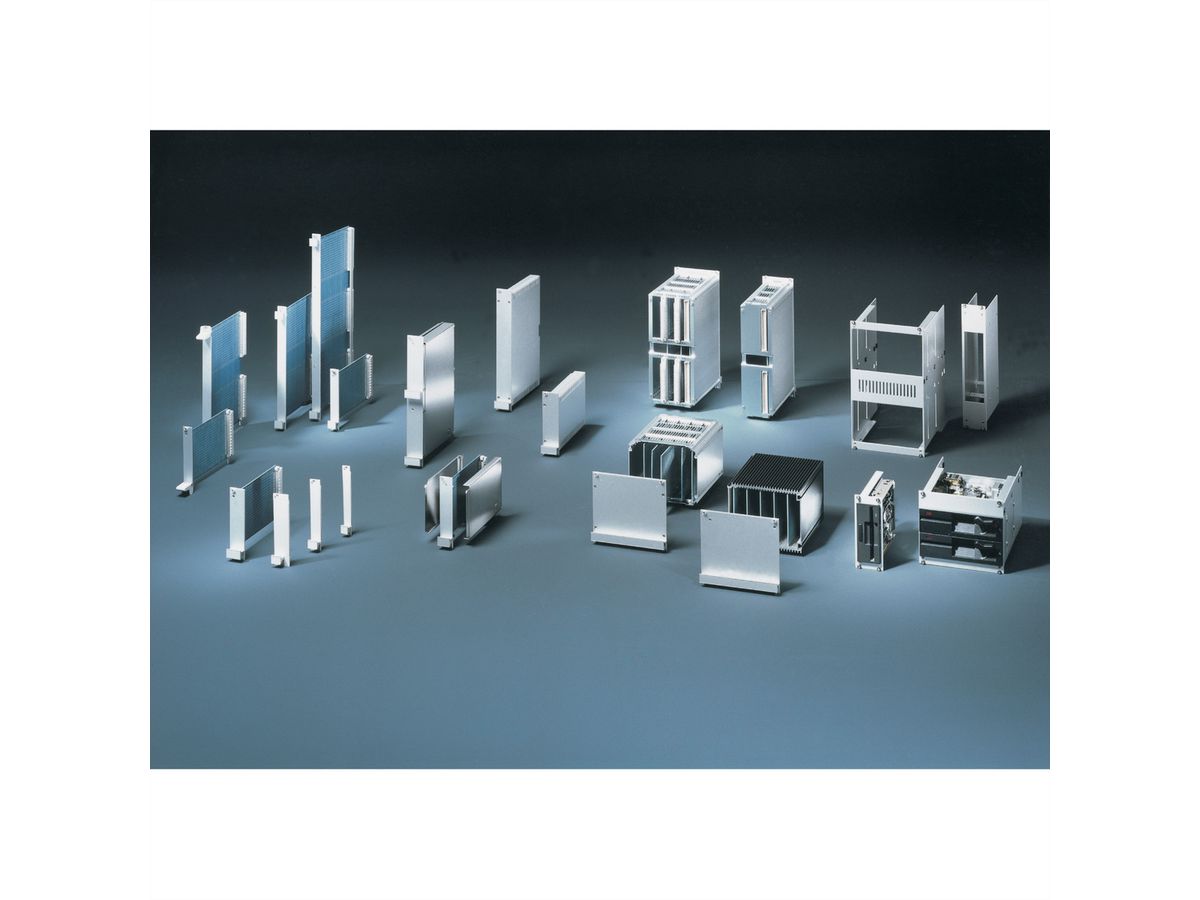 SCHROFF Insteekmodule U-profiel voor XL handgreep, Microschakelaar compatibel, 6 HE, 8 HE, 2,5 mm, Al, geanodiseerd vooraan, Geleidend achteraan