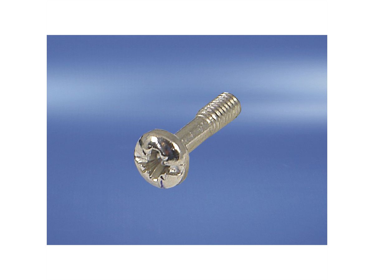 SCHROFF Kraagschroef, kruisgleuf/gleuf (M2,5x11), staal verzinkt, zwart