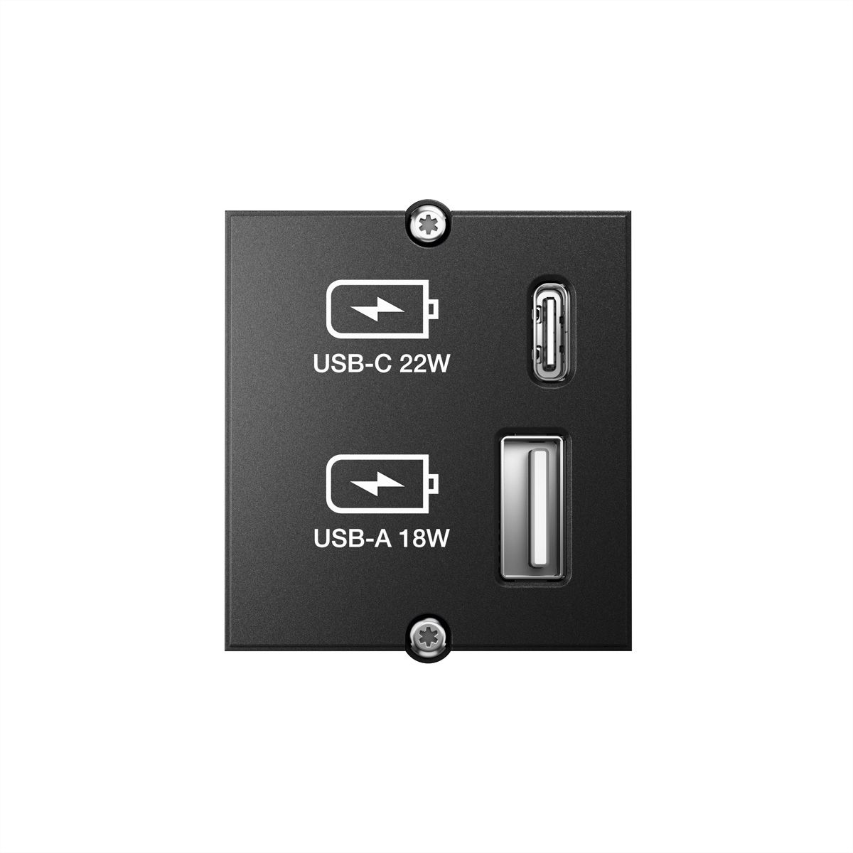 BACHMANN Custom USB Oplader Module Type A & Type C 22W, Snel opladen, zwart