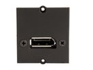 BACHMANN custom module DisplayPort koppeling female/female