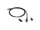 ROLINE USB 2.0-kabel type C, M/M, met adapters voor gegevensblokkering type A+C, 1 m