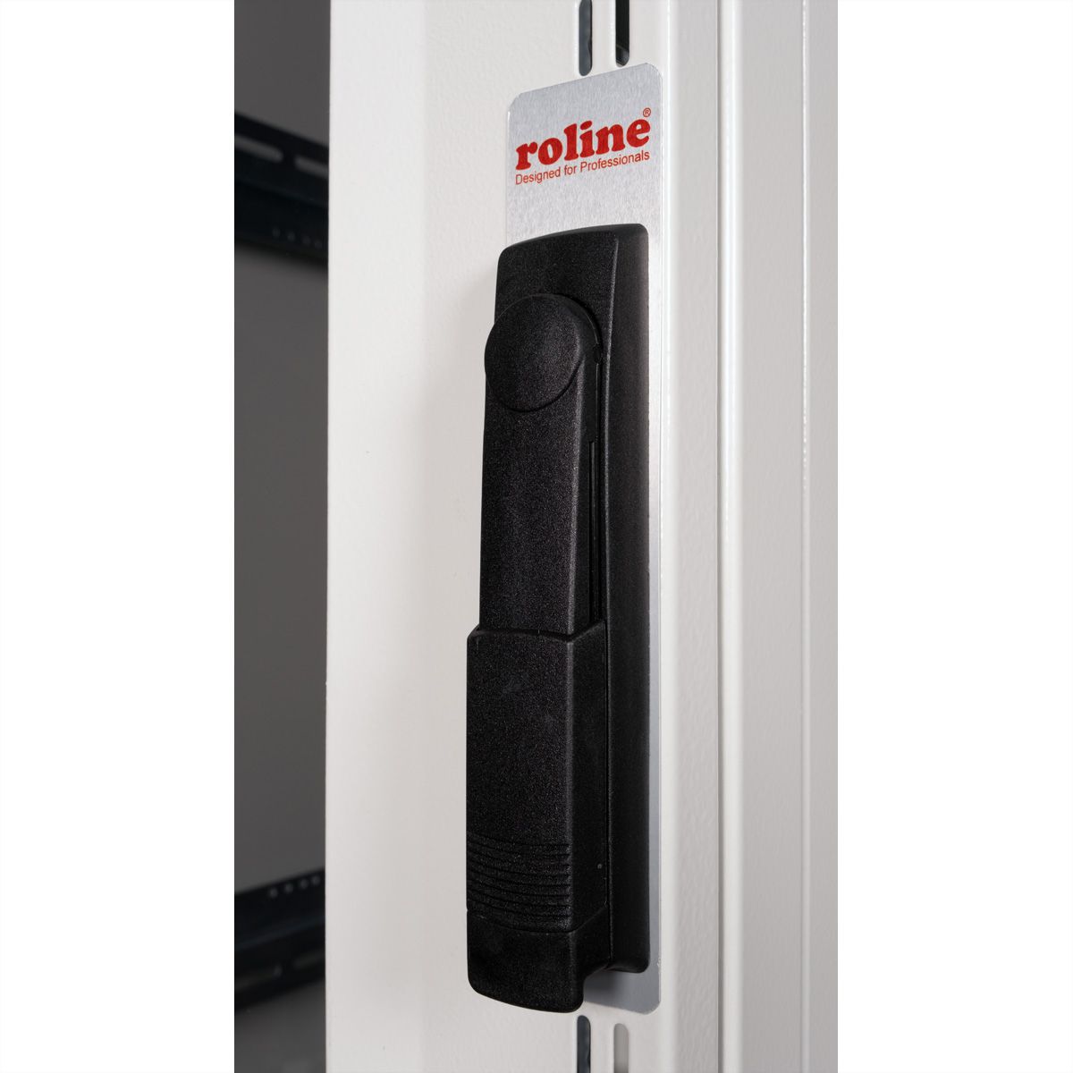 ROLINE 19-inch server rack Pro 36 U, 600x1000 WxD grey Plexiglas