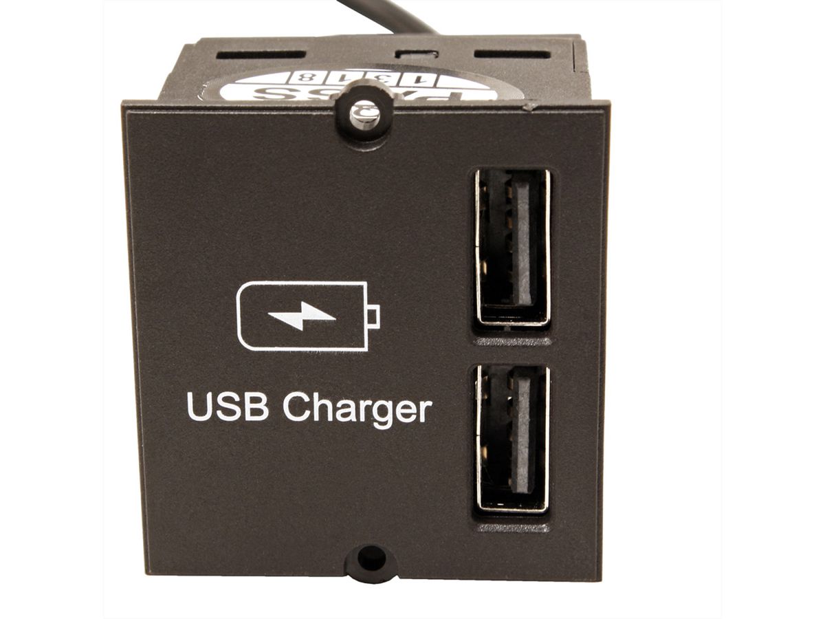 BACHMANN Custom Module USB Double Charger