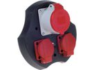 BACHMANN standaard inzetstuk 2xCEE7/3-1xCEE f., voor kabeltrommel 399.180 thermische beveiliging