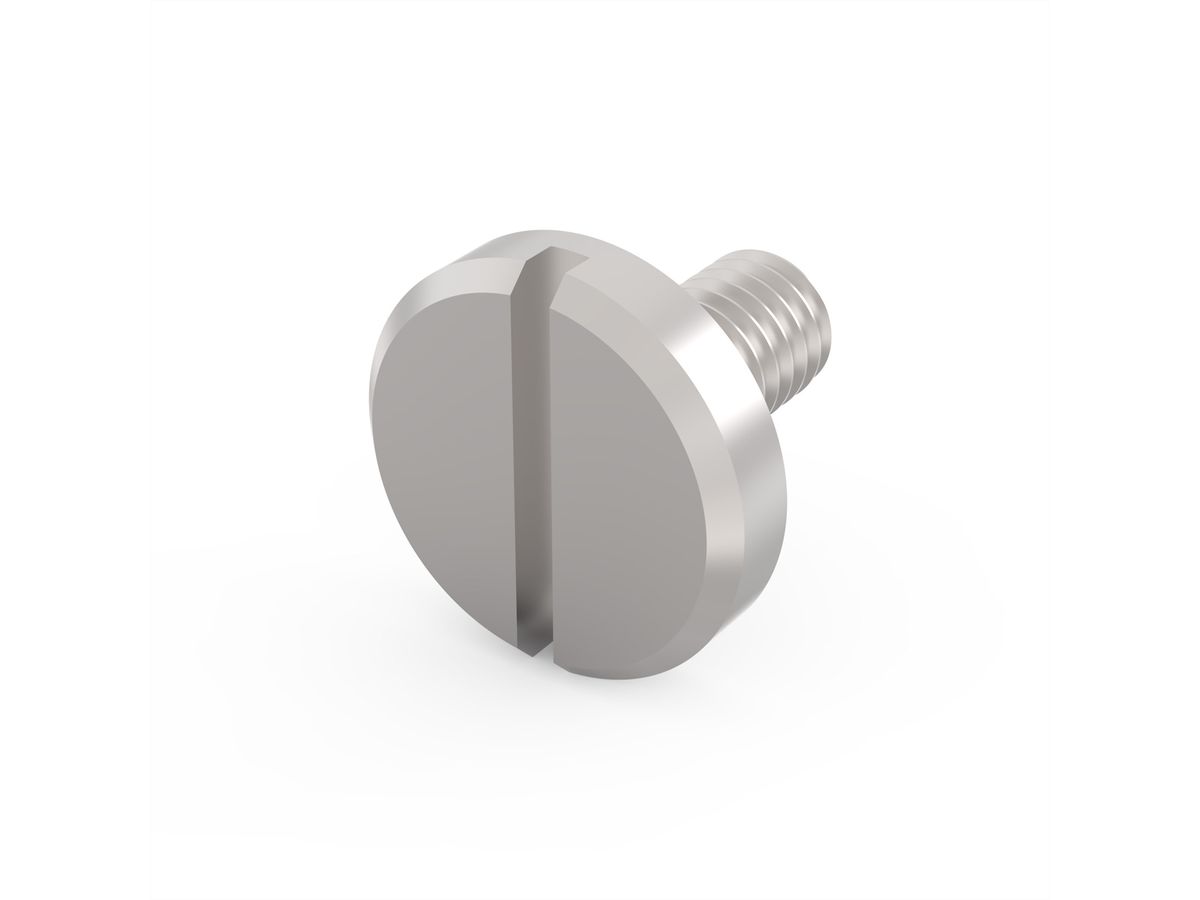 SCHROFF Screw for Drive Unit M3x6