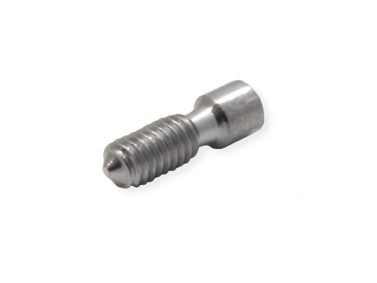 SCHROFF Grub Screw, Stainless Steel, M2.5 x 9, Torx 8