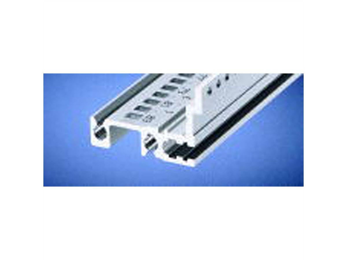 SCHROFF type H-MZ stable, with Z-rail - MODUL. REAR 1MT H MZ