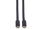 ROLINE DisplayPort kabel, Mini DP M - Mini DP M, zwart, 2 m