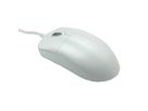 SEAL SHIELD Silver Storm Mouse USB white STWM042